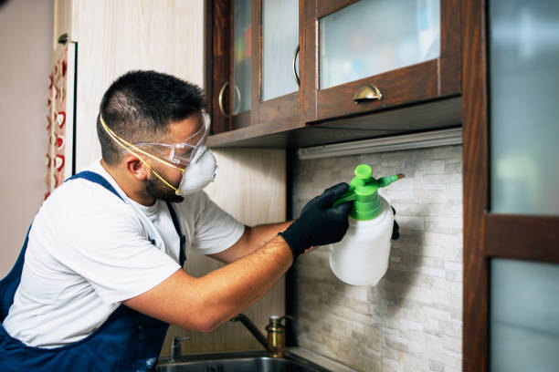 Best Commercial Pest Control Services  in Tifton, GA