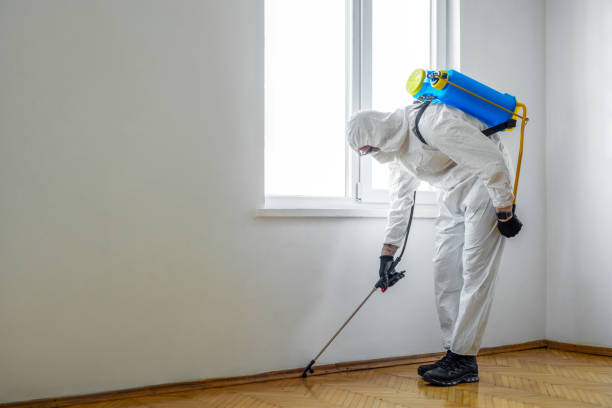 Best Exterminator Services  in Tifton, GA