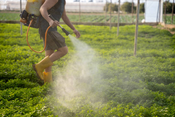 Best Residential Pest Control  in Tifton, GA