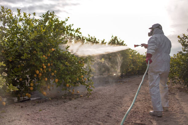 Best Cockroach Control Services  in Tifton, GA