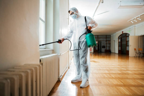 Best Flea Control Services  in Tifton, GA