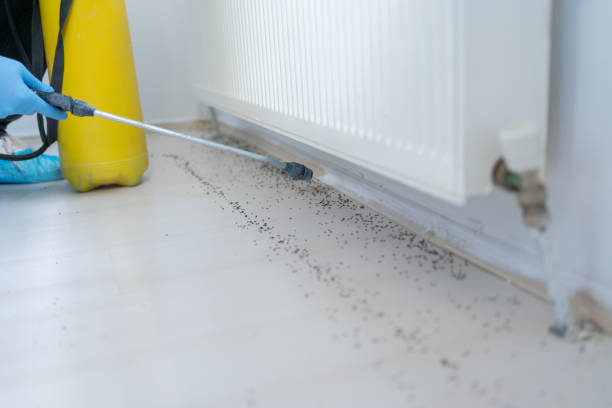 Best Pest Control Near Me in Tifton, GA