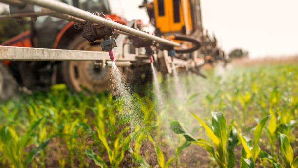 Professional Pest Control in Tifton, GA